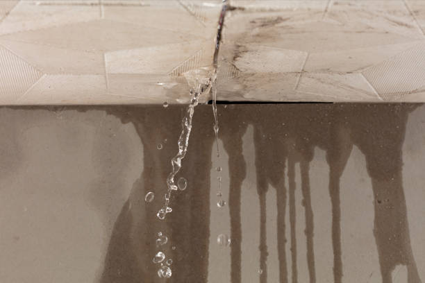 Professional Water Extraction technician working in Linwood, MA